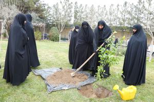غرس ده ها اصله نهال توسط مدیر و مسئولان جامعه الزهرا در روز درختکاری 1402 (4)